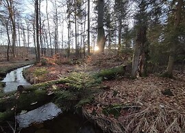Ferienhaus in Schierke mit Garten