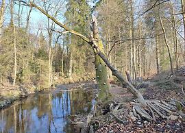 Ferienhaus in Schierke for 8 Personen