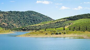 Casas da Vinha - Vineadouro Wine Hotel