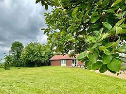 Pet Friendly & Peaceful Stay