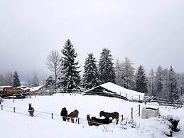 Chalet Verrel Near Aletsch Ski Gondolas