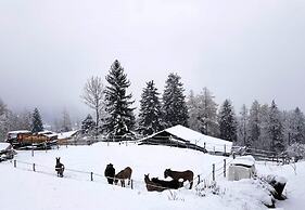 Chalet Verrel Near Aletsch Ski Gondolas