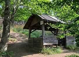 Ferienhaus in Wieda mit Garten