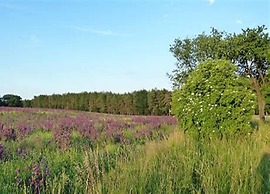 Ferienhaus in Wieda mit Garten