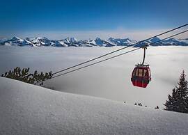 Fantastic Apartment in the Kitzbuhel Alps