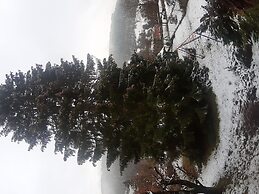 Ferienhaus im Harz mit Wanderwegen
