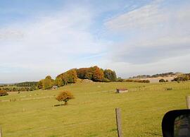 Cosy Holiday Home Yalet in Brilon-wald
