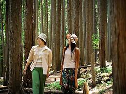 Mieux forest