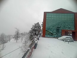 Hotel Cherry Manali