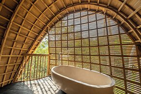 Jungleight Bali