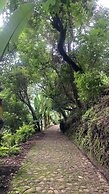Finca El Tambor