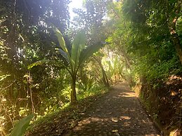 Finca El Tambor