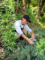 Finca El Tambor
