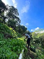 Finca El Tambor