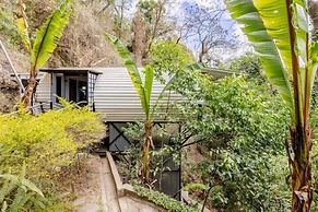 Finca El Tambor