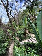 Finca El Tambor