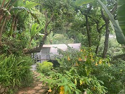 Finca El Tambor