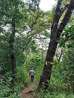 Finca El Tambor