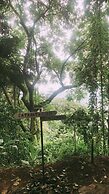 Finca El Tambor