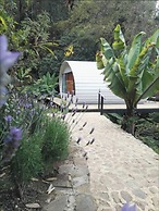 Finca El Tambor