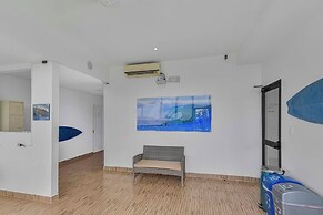 Surfo House