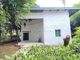 Karaboon Wellness
