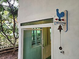 Karaboon Wellness
