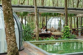 Timber Society Boutique Hideaway