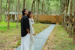 Timber Society Boutique Hideaway