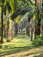 Anawa Krabi