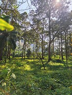 Anawa Krabi