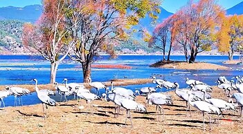 yuanxiangwenyuan