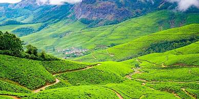 Hillsidecreek Homestay