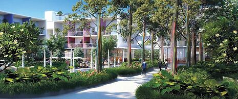 The Grove