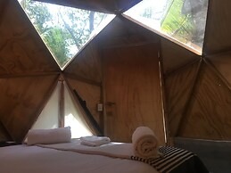 frequency dome