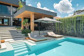 Beyond The Palms