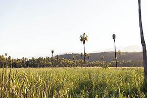 Amet Nature Retreat