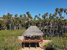 Amet Nature Retreat