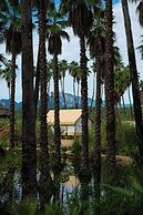 Amet Nature Retreat