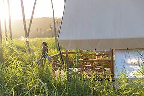 Amet Nature Retreat