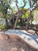 Peace Hostel Mx