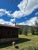 Quelen Patagonia