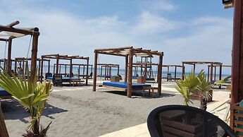 Petriti & spa