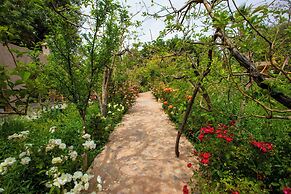 The Garden of Asni