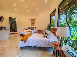 Arenal Palms