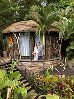 Arenal Palms
