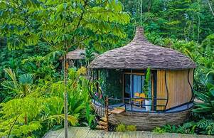 Arenal Palms