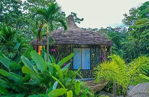 Arenal Palms