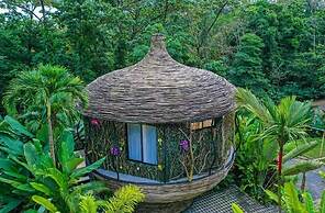 Arenal Palms