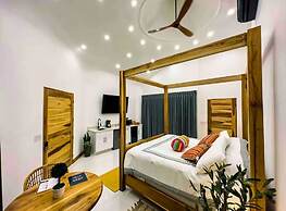 Arenal Palms